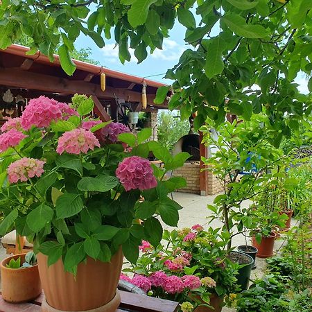 Feher Rozsa Apartman Cserszegtomaj Dış mekan fotoğraf