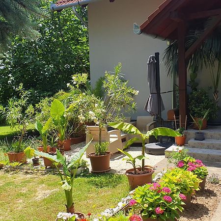 Feher Rozsa Apartman Cserszegtomaj Dış mekan fotoğraf