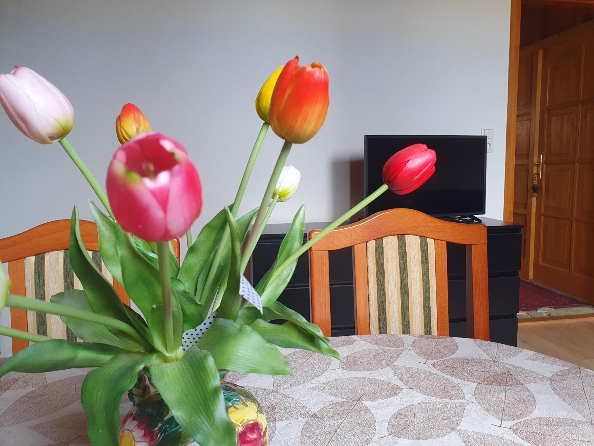 Feher Rozsa Apartman Cserszegtomaj Dış mekan fotoğraf