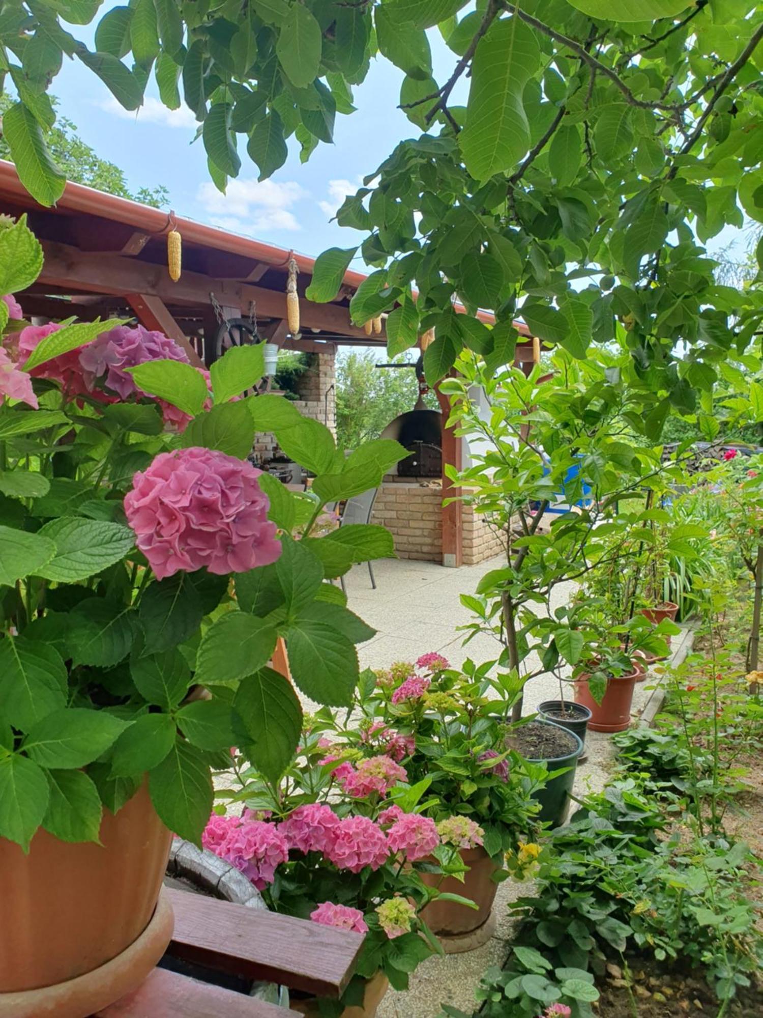 Feher Rozsa Apartman Cserszegtomaj Dış mekan fotoğraf