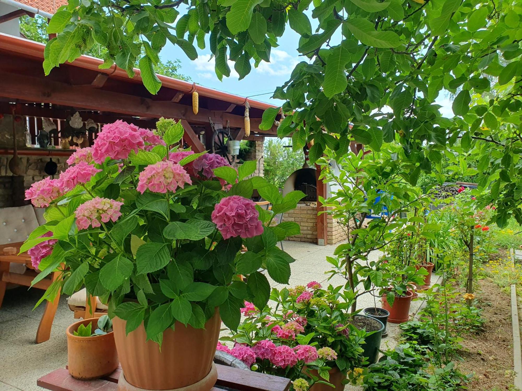 Feher Rozsa Apartman Cserszegtomaj Dış mekan fotoğraf
