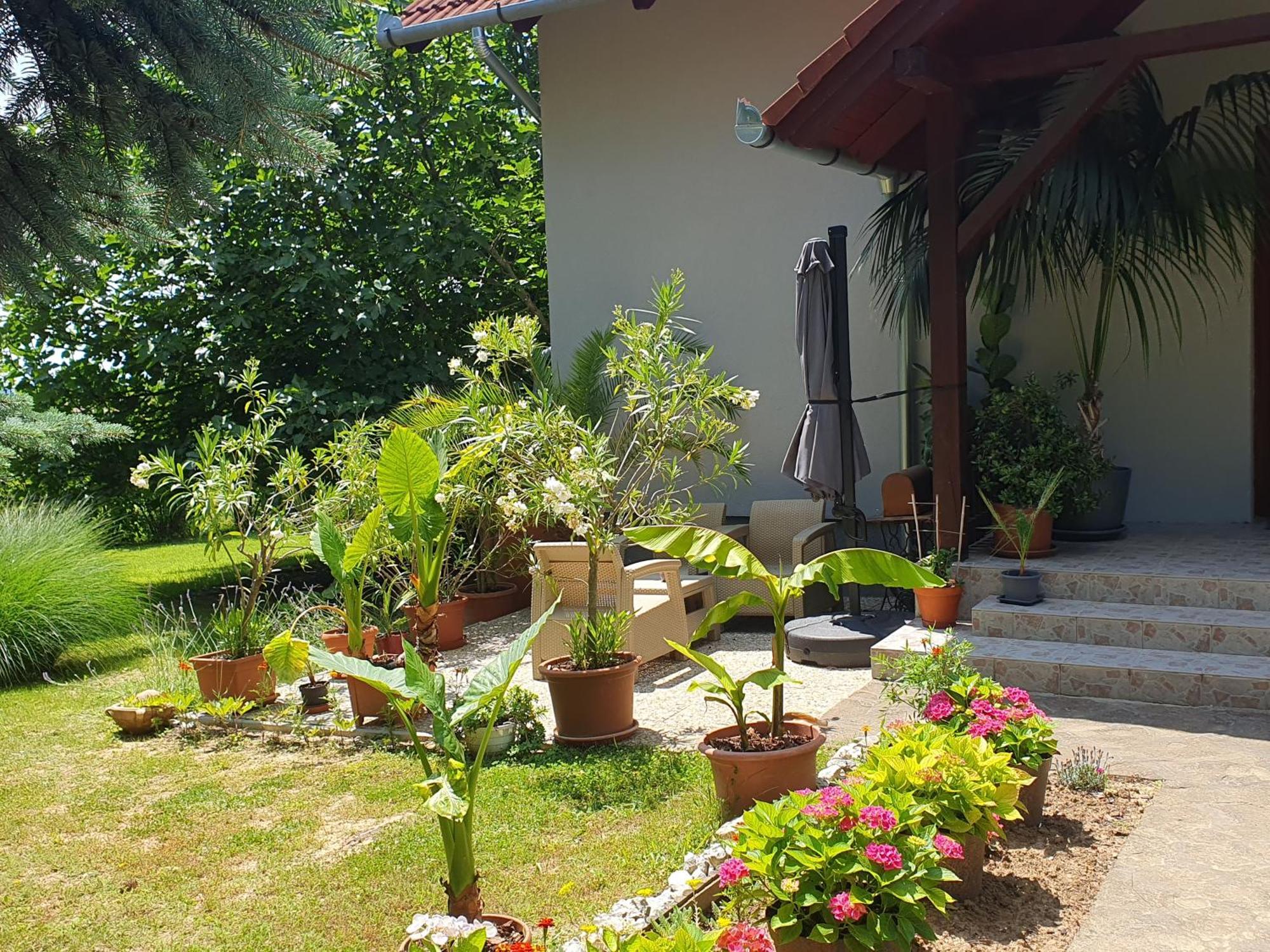 Feher Rozsa Apartman Cserszegtomaj Dış mekan fotoğraf