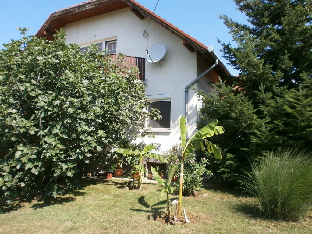 Feher Rozsa Apartman Cserszegtomaj Dış mekan fotoğraf