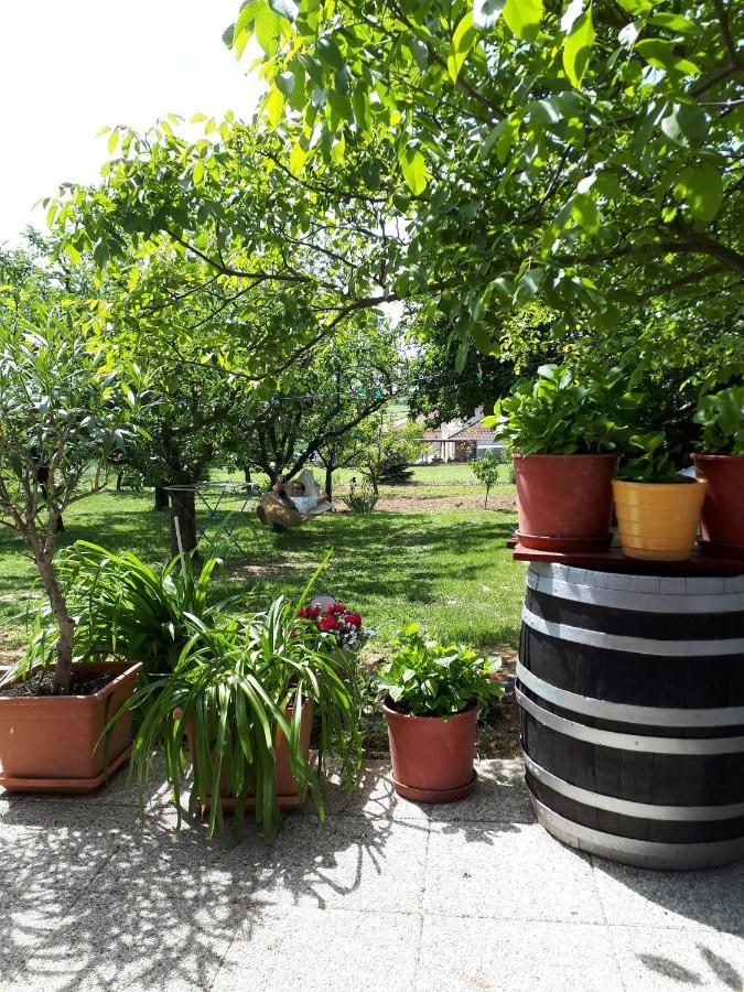 Feher Rozsa Apartman Cserszegtomaj Dış mekan fotoğraf